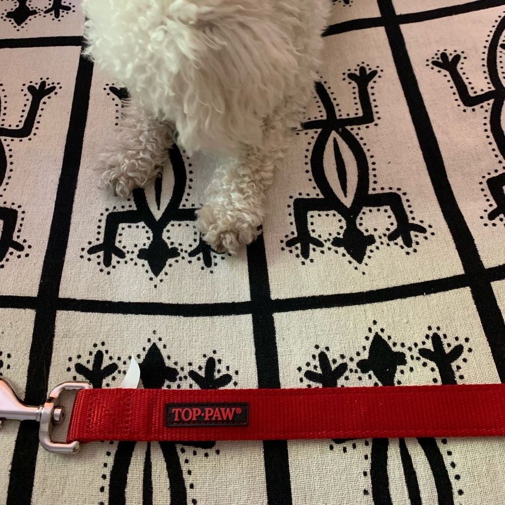 Top Paw® Nylon Dog Leash: 6-ft long